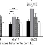 Figura 3