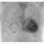 Figure 24