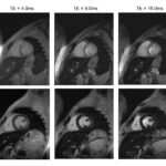 Figure 29