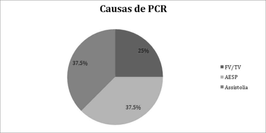 Figura 1
