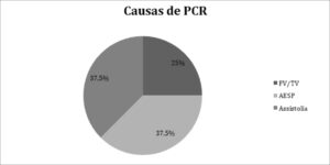 Figura 1