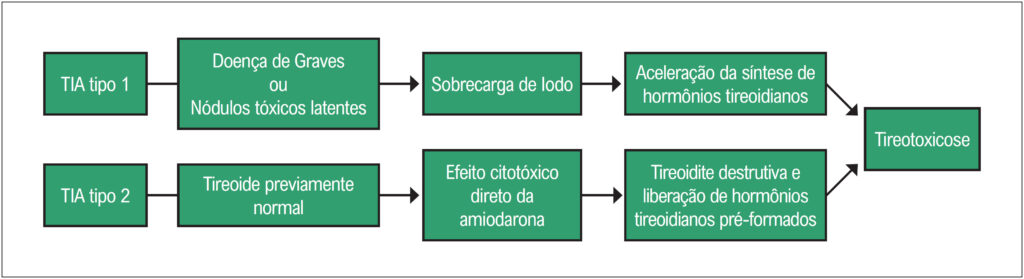 Figura 1
