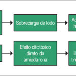 Figura 1