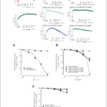 Figura 3