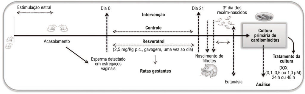 Figura 1