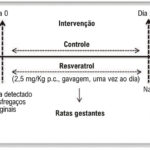 Figura 1
