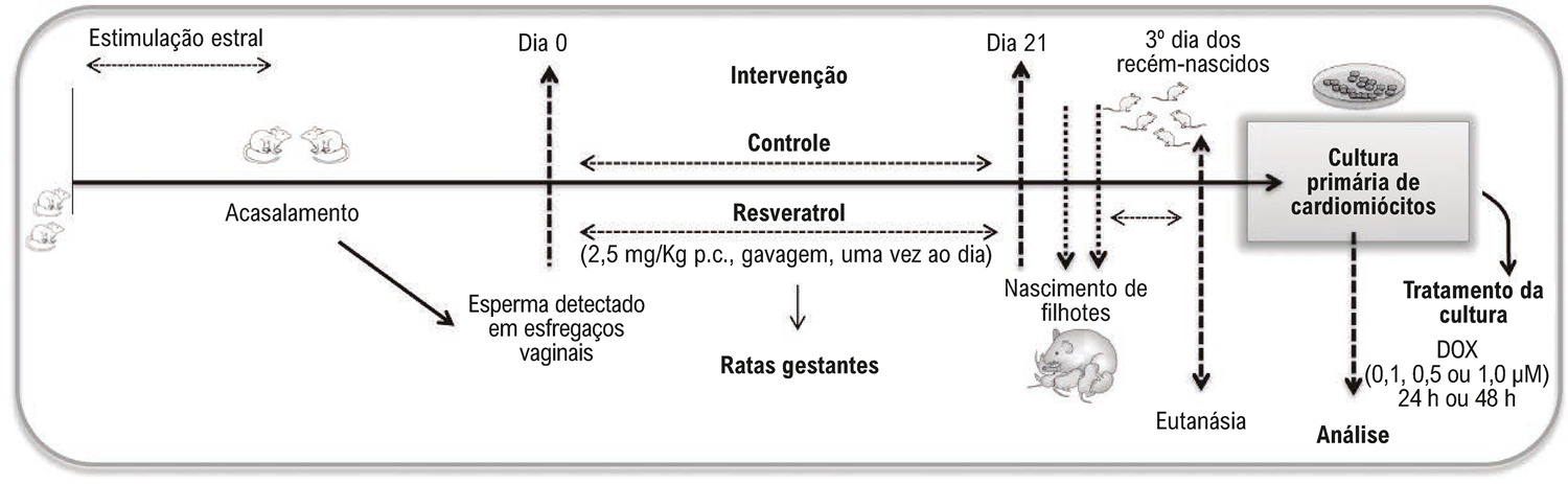 Figura 1