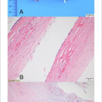 Figura 3