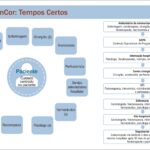 Figura 2