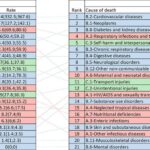 Chart 1-1