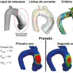 Figura 1