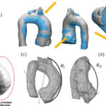 Figura 2