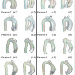 Figura 4