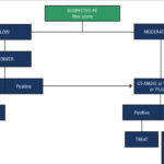 Chart 5