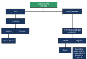 Chart 5