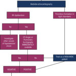 Chart 6
