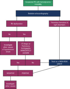 Chart 6