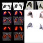 Figure 29