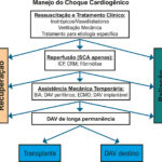 Figura 7
