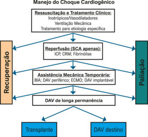 Figura 7