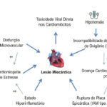 Figura 11