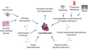 Figura 11