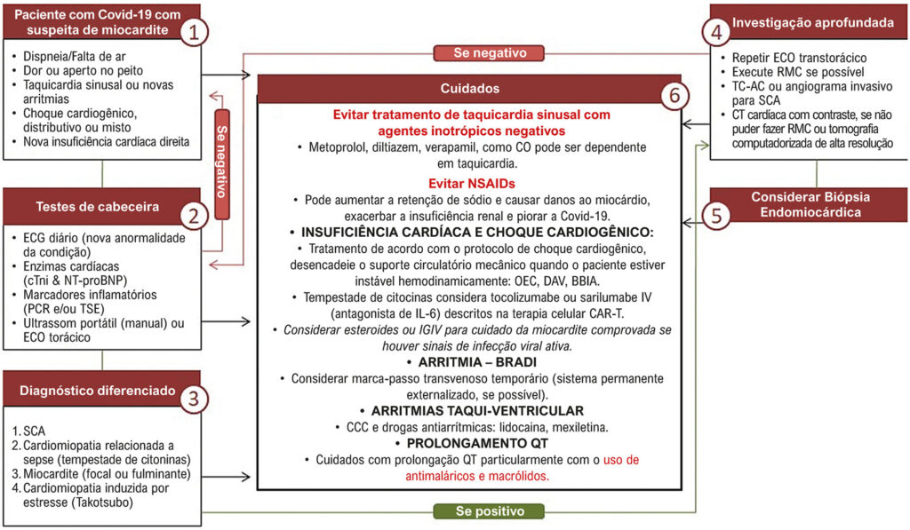 Figura 13