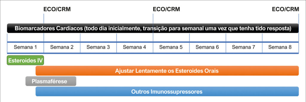 Figura 14