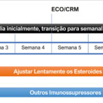 Figura 14