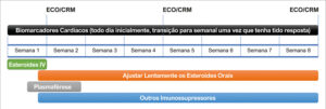 Figura 14