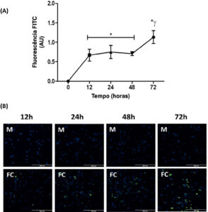 Figura 3