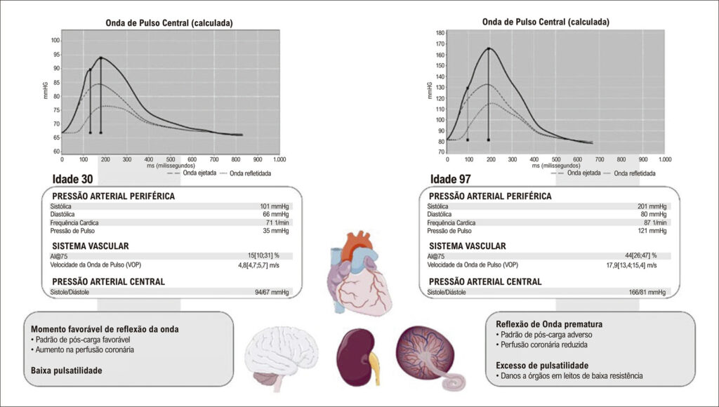 Figura 1