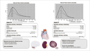 Figura 1