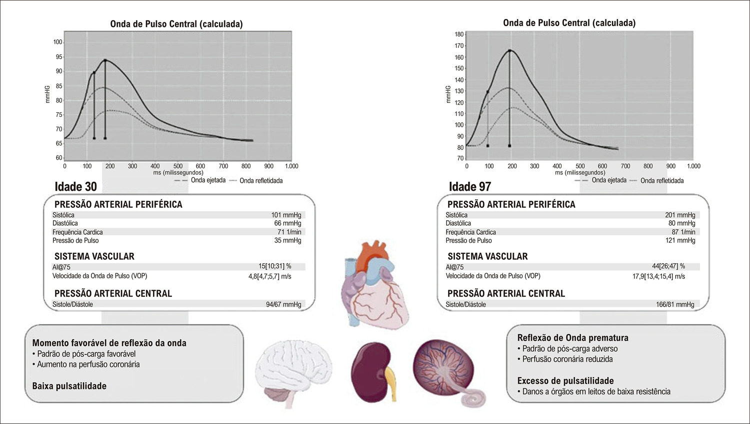 Figura 1