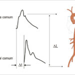 Figura 2