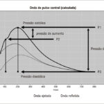 Figura 3