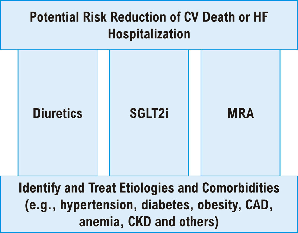 A Triple Therapy Proposal for Heart Failure with Preserved Ejection Fraction. CAD: coronary artery disease; CKD: chronic kidney disease; CV: cardiovascular; HF: heart failure; MRA: mineralocorticoid receptor antagonist; SGLT2i: sodium-glucose 2 cotransporter inhibitor. Only empagliflozin has evidence from a robust randomized trial. 3 Post-hoc analyses of the CHAMPION and TOPCAT trials may support the use of diuretics and MRA. 11-13,15