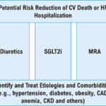 A Triple Therapy Proposal for Heart Failure with Preserved Ejection Fraction. CAD: coronary artery disease; CKD: chronic kidney disease; CV: cardiovascular; HF: heart failure; MRA: mineralocorticoid receptor antagonist; SGLT2i: sodium-glucose 2 cotransporter inhibitor. Only empagliflozin has evidence from a robust randomized trial. 3 Post-hoc analyses of the CHAMPION and TOPCAT trials may support the use of diuretics and MRA. 11-13,15