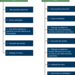 Figura 1