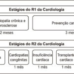 Figura 5