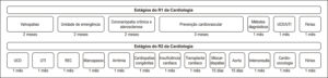 Figura 5