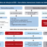 Figura 5