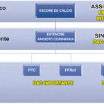 Figura 1