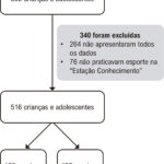 Figura 1