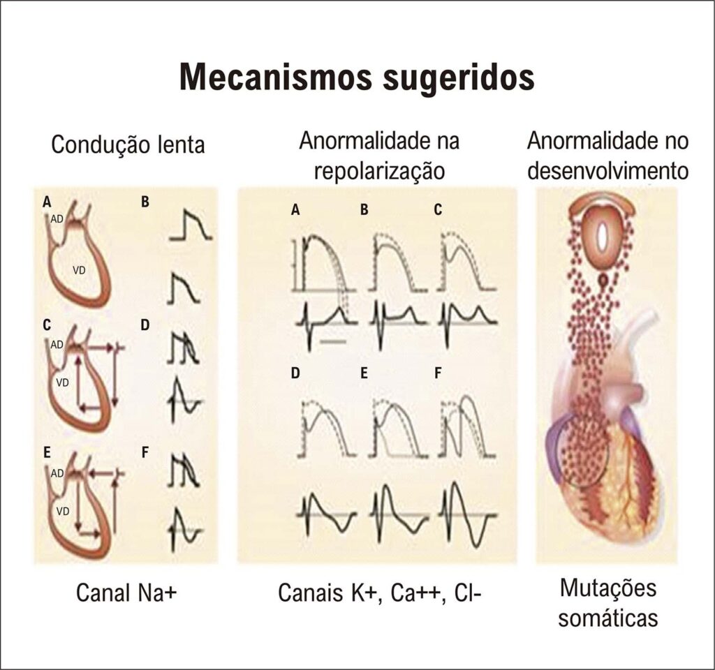 Figura 2