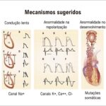 Figura 2