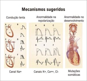 Figura 2