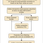 Figura 1