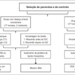 Figura 1