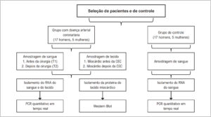 Figura 1